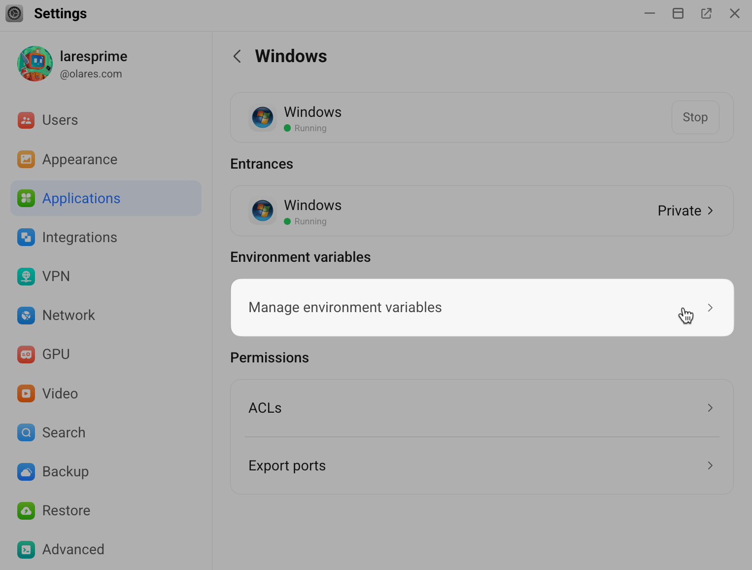 Application environment variables