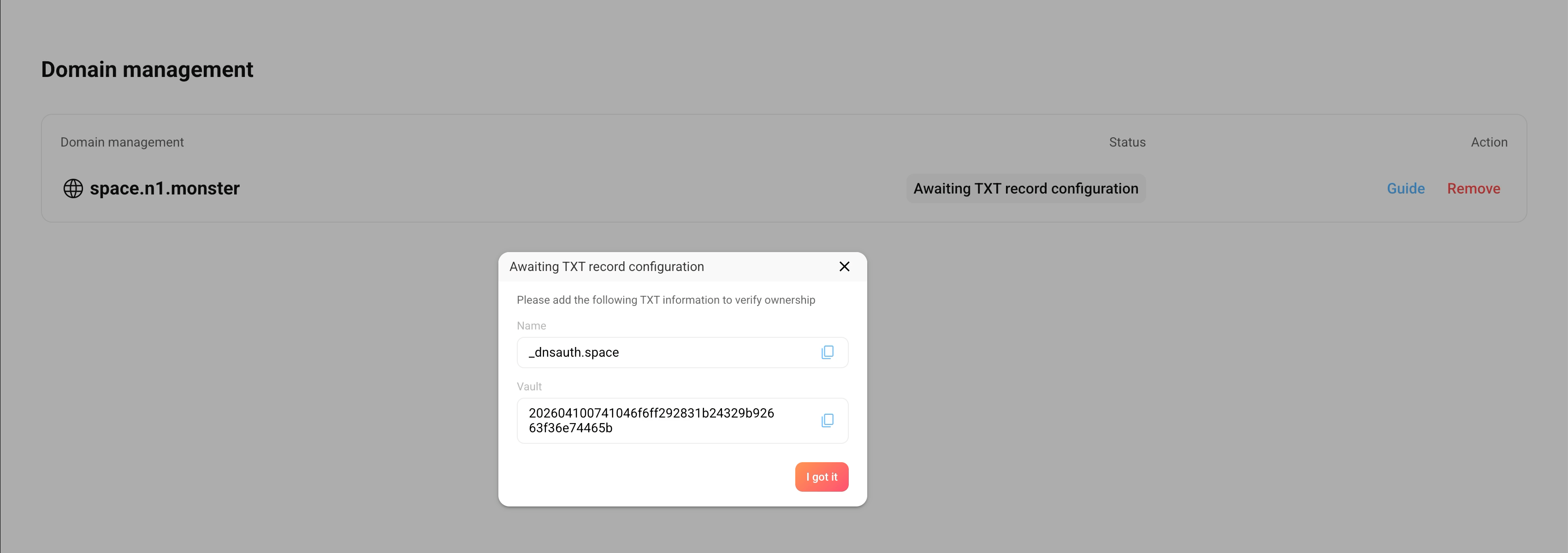 在 DNS 服务商添加 TXT 记录