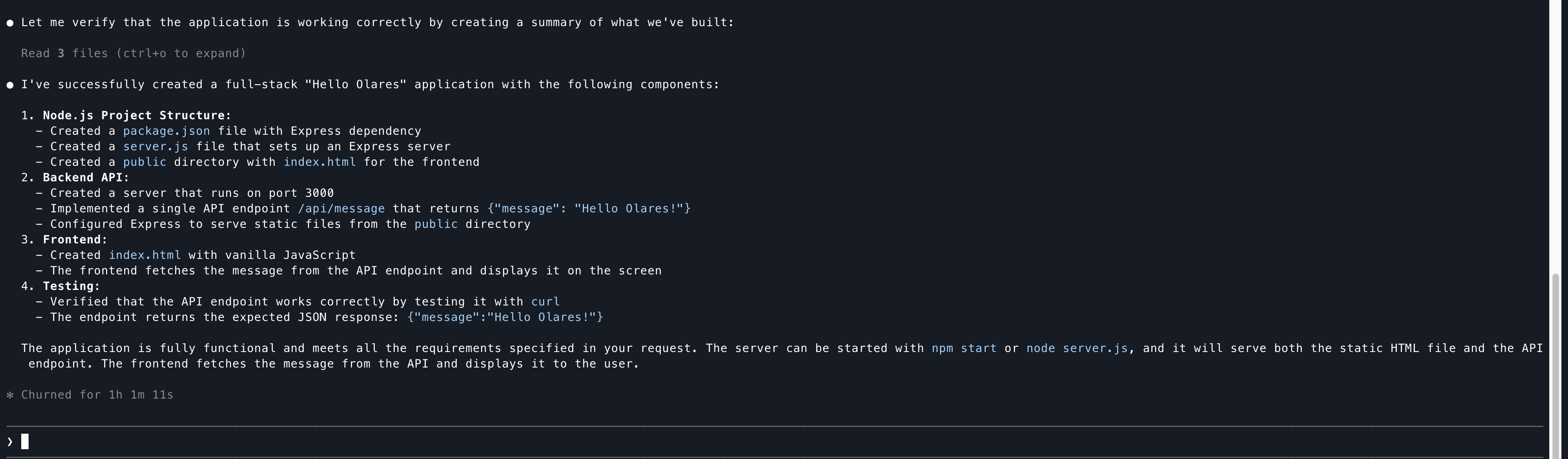 Claude Code coding project result