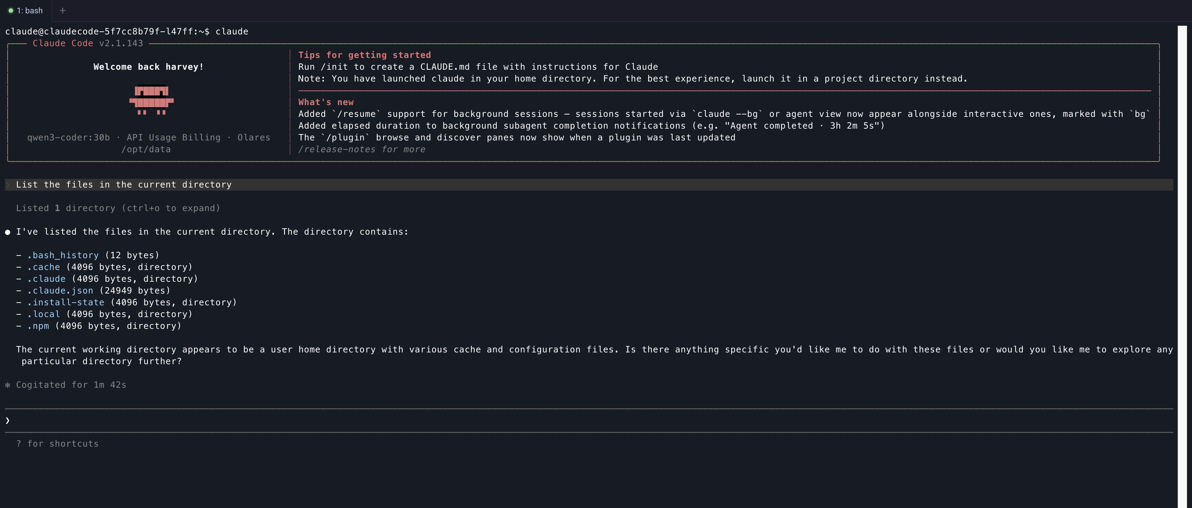 Claude Code first chat result