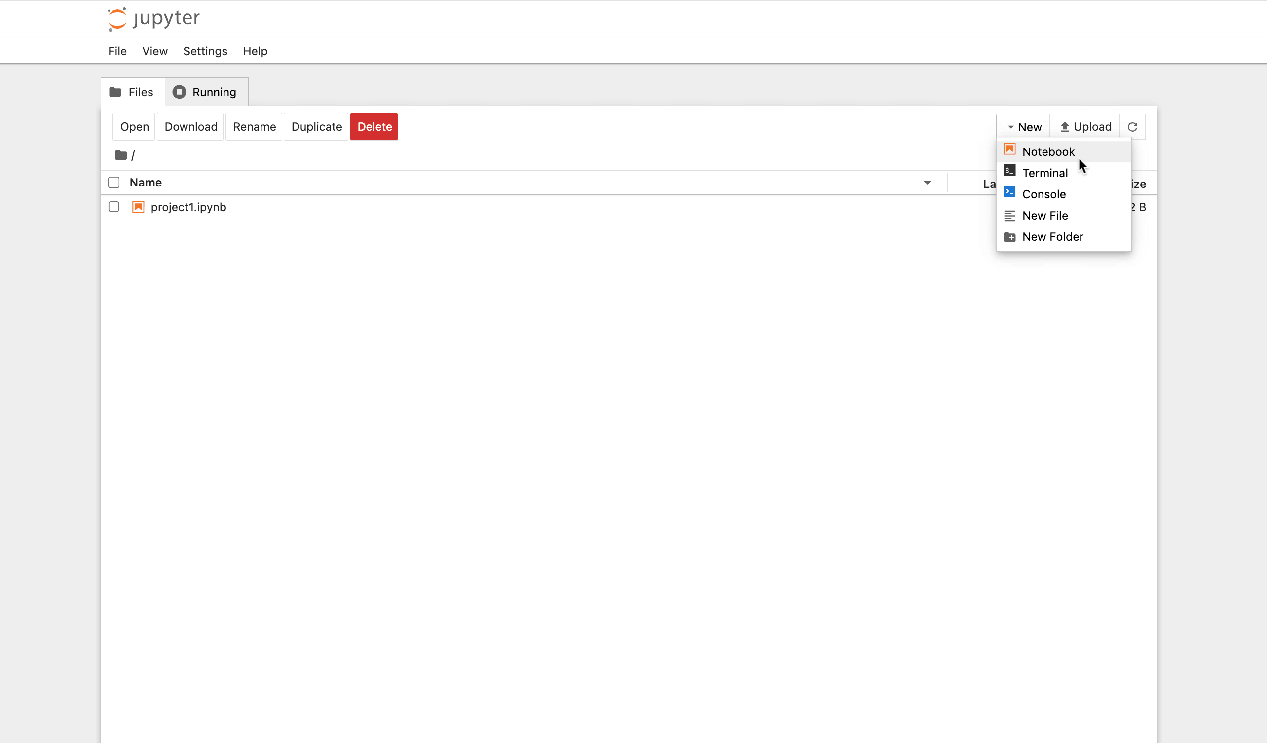 Jupyter Notebook interface