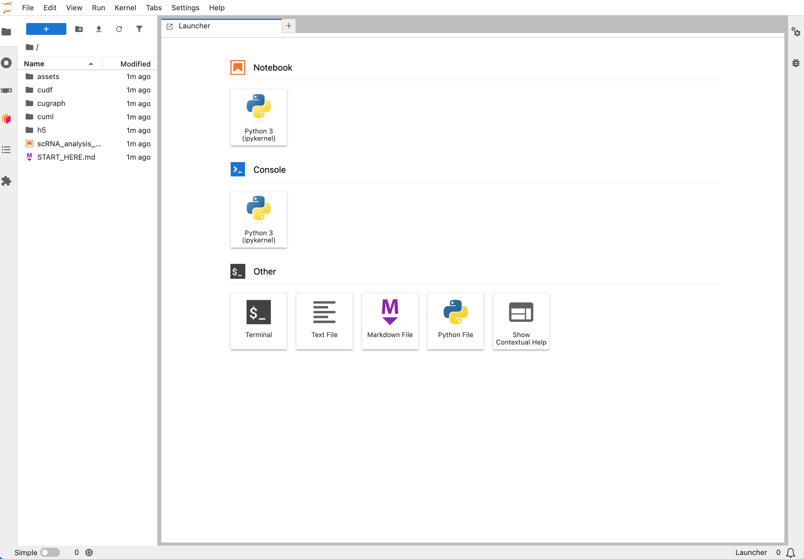 JupyterLab interface