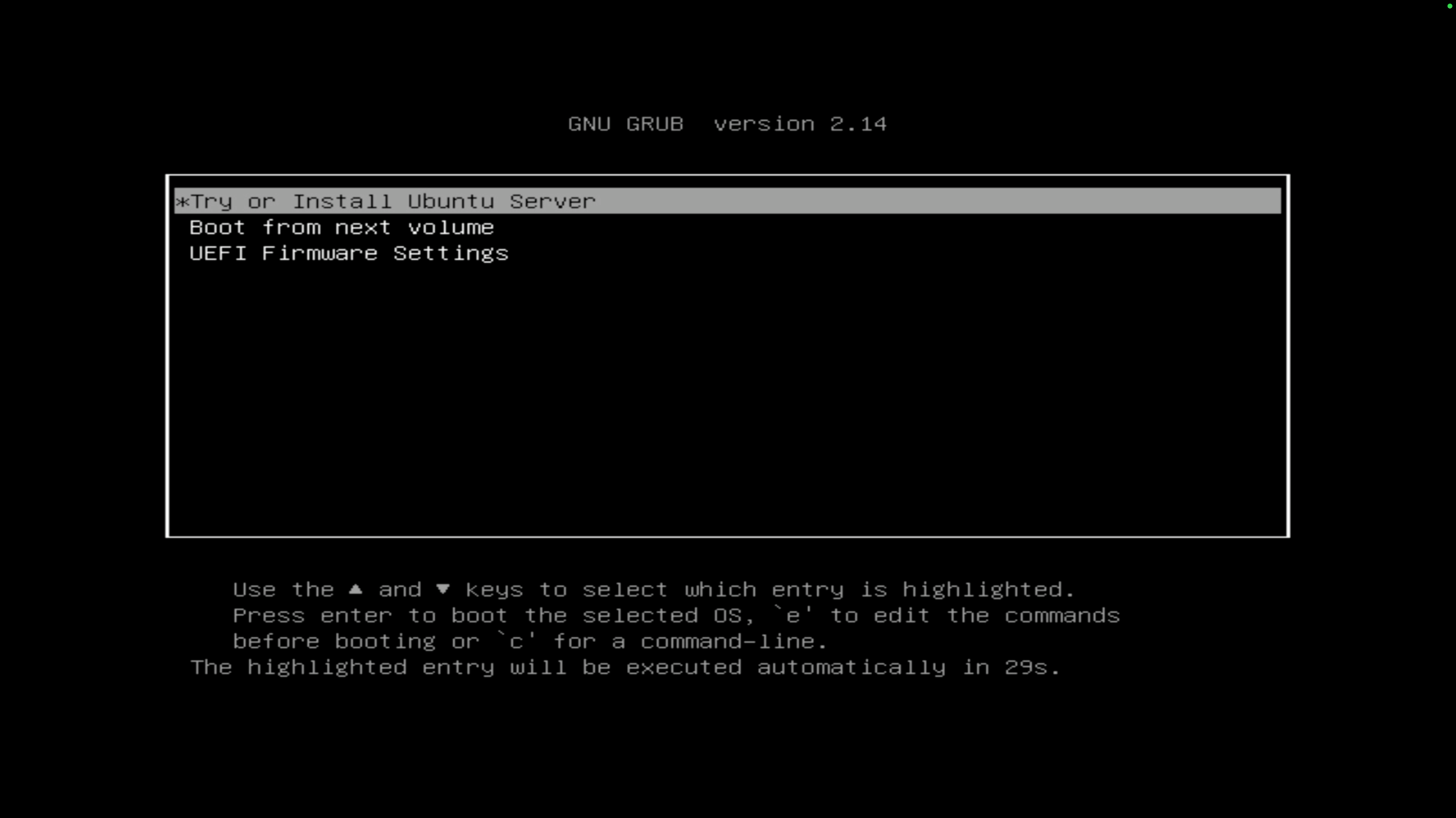Ubuntu install type