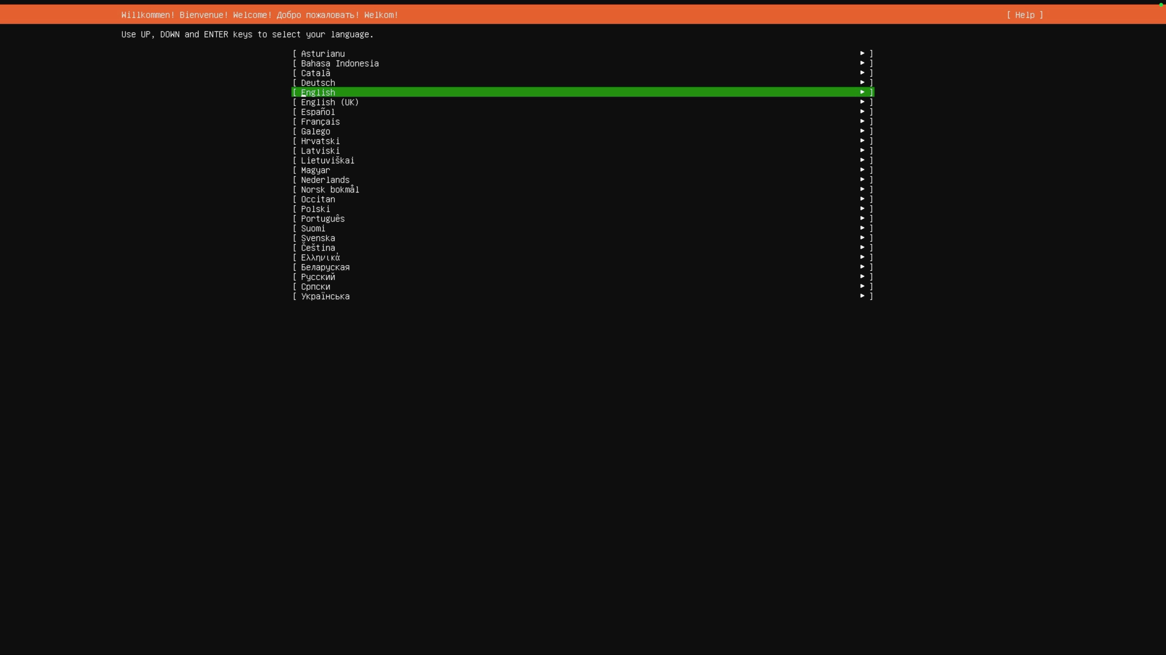 Ubuntu language selection