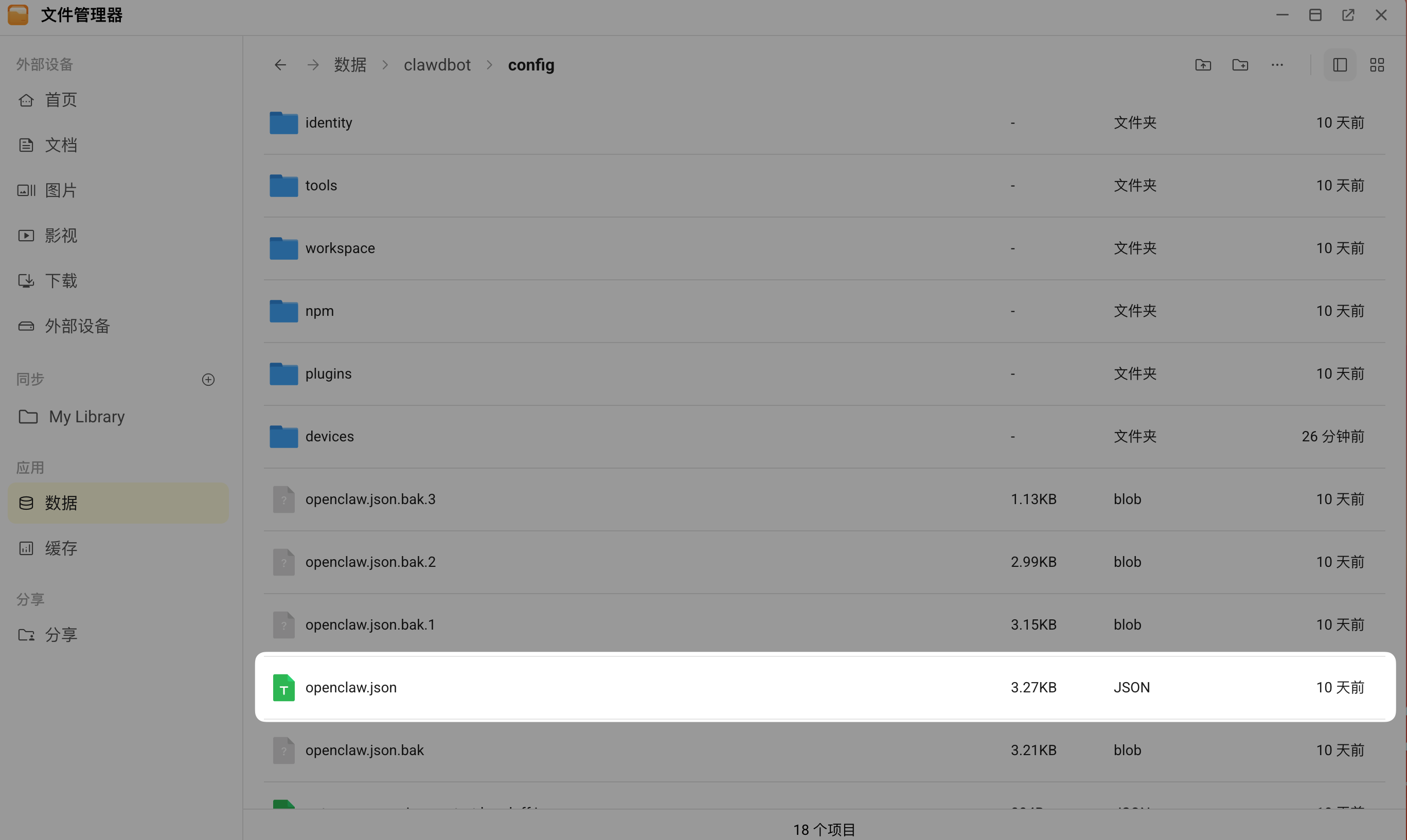 OpenClaw 配置文件
